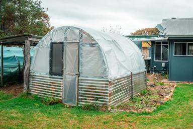 Acreage/Semi-rural For Sale - NSW - Emmaville - 2371 - Priced To Sell  (Image 2)