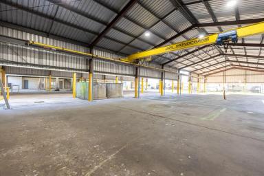 Industrial/Warehouse For Lease - QLD - Beaudesert - 4285 - Industrial Facility with 3 Sheds, Overhead Crane & Extensive Hardstand  (Image 2)