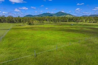 Acreage/Semi-rural For Sale - QLD - Tiaro - 4650 - 952 Acres of Functional Grazing Country with Established Infrastructure  (Image 2)
