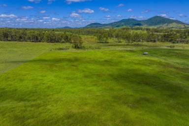 Acreage/Semi-rural For Sale - QLD - Tiaro - 4650 - 952 Acres of Functional Grazing Country with Established Infrastructure  (Image 2)