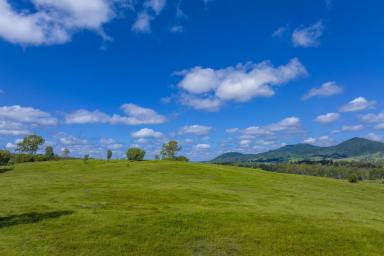 Acreage/Semi-rural For Sale - QLD - Tiaro - 4650 - 952 Acres of Functional Grazing Country with Established Infrastructure  (Image 2)