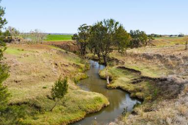 Lifestyle For Sale - QLD - Allora - 4362 - Build Your Dream on 40 Acres!  (Image 2)