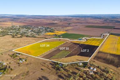 Lifestyle For Sale - QLD - Allora - 4362 - Build Your Dream on 40 Acres!  (Image 2)