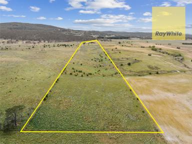 Lifestyle Auction - NSW - Collector - 2581 - The Rural Lifestyle At Its Best !  (Image 2)