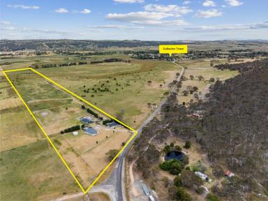 Lifestyle Auction - NSW - Collector - 2581 - The Rural Lifestyle At Its Best !  (Image 2)