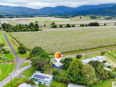 House For Sale - QLD - Midgenoo - 4854 - PRICE REDUCED – MOTIVATED OWNER WANTS THIS SOLD!  (Image 2)