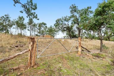 Lifestyle For Sale - QLD - Southbrook - 4363 - Build your dream home on 13 acres  (Image 2)