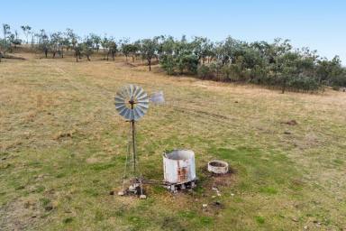 Lifestyle For Sale - QLD - Southbrook - 4363 - Build your dream home on 13 acres  (Image 2)