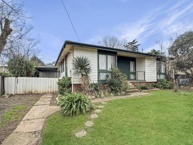 House For Sale - NSW - Young - 2594 - Great Investment or Starter  (Image 2)