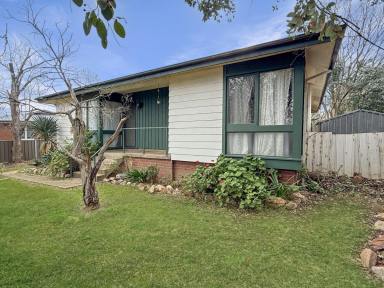House For Sale - NSW - Young - 2594 - Great Investment or Starter  (Image 2)