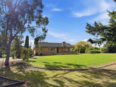 House For Sale - NSW - Young - 2594 - Original Owners & Original Design  (Image 2)