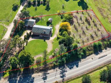 House For Sale - NSW - Young - 2594 - Original Owners & Original Design  (Image 2)