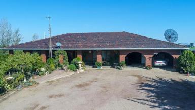 Dairy For Sale - VIC - Numurkah - 3636 - EX DAIRY FARM or GRAZING PROPERTY  (Image 2)