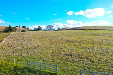Residential Block For Sale - NSW - Casino - 2470 - PEACEFUL RURAL LIFESTYLE BLOCK (Image 2)