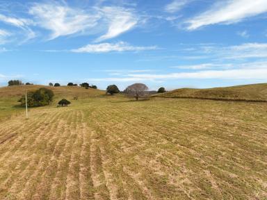 Residential Block For Sale - NSW - Casino - 2470 - Peaceful Rural Lifestyle with Stunning Views – 3.8ha (Approx. 9.4 Acres)  (Image 2)