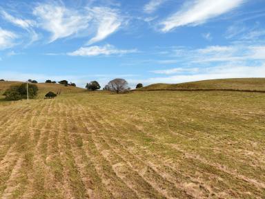 Residential Block For Sale - NSW - Casino - 2470 - Peaceful Rural Lifestyle with Stunning Views – 3.8ha (Approx. 9.4 Acres)  (Image 2)