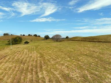 Residential Block For Sale - NSW - Casino - 2470 - PEACEFUL RURAL LIFESTYLE BLOCK (Image 2)