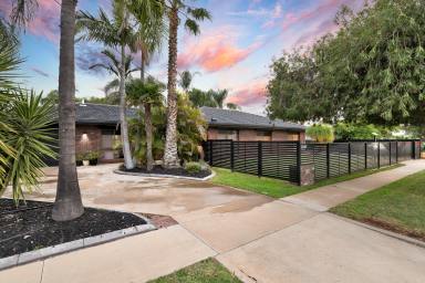 House For Sale - VIC - Mildura - 3500 - Family Living with Pool, Spa & Shed  (Image 2)
