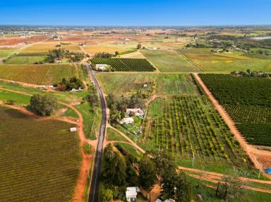 Horticulture For Sale - VIC - Red Cliffs - 3496 - Your Next Chapter Starts on the River's Edge  (Image 2)