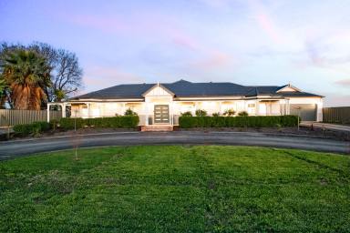 House For Sale - VIC - Nichols Point - 3501 - A Nichols Point homestead with a pool and room to spread out  (Image 2)