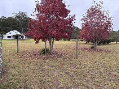 Lifestyle For Sale - QLD - Taabinga - 4610 - Ideal Horse Property on 31 Acres Close to Kingaroy with Excellent Infrastructure  (Image 2)