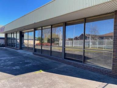 Showrooms/Bulky Goods For Lease - NSW - Bowral - 2576 - SHOWROOM / GALLERY / OFFICE / FACTORY  (Image 2)