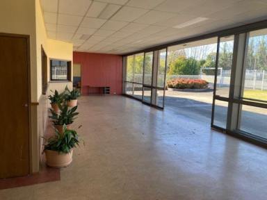 Showrooms/Bulky Goods For Lease - NSW - Bowral - 2576 - SHOWROOM / GALLERY / OFFICE / FACTORY  (Image 2)