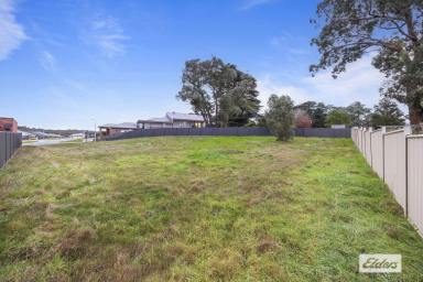 Residential Block For Sale - VIC - Beaufort - 3373 - Build Your Dream Home in the Heart of Beaufort  (Image 2)