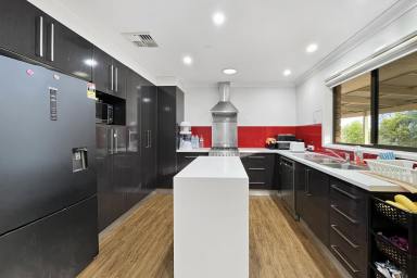 House For Sale - NSW - Cowra - 2794 - Huge Family Home, Within An Excellent Street!  (Image 2)