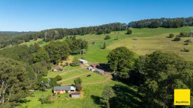 Other (Rural) Auction - NSW - Dorrigo - 2453 - 'Wongalea' Dorrigo Plateau  (Image 2)
