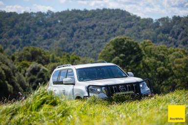 Other (Rural) For Sale - NSW - Dorrigo - 2453 - 'Wongalea' Dorrigo Plateau  (Image 2)