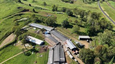 Mixed Farming For Sale - NSW - Kyogle - 2474 - “GLENGOWRIE” 454 ACRES AT KYOGLE (Image 2)