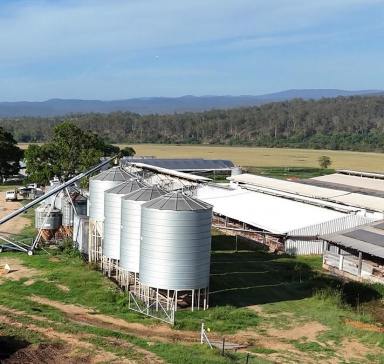 Mixed Farming For Sale - NSW - Kyogle - 2474 - EXPRESSIONS OF INTEREST - “GLENGOWRIE” & “JACKSONS FLAT” PIGGERY AND LIVESTOCK PROPERTIES  (Image 2)