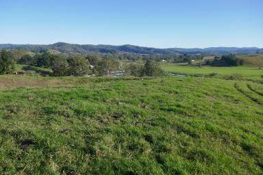 Mixed Farming For Sale - NSW - Kyogle - 2474 - “GLENGOWRIE” 454 ACRES AT KYOGLE (Image 2)