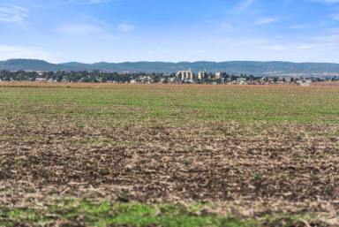 Cropping For Sale - QLD - Ryeford - 4361 - "Best Little Block on the Eastern Downs"  (Image 2)