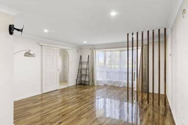 House For Lease - QLD - Kearneys Spring - 4350 - Large Family Home in Great Location  (Image 2)