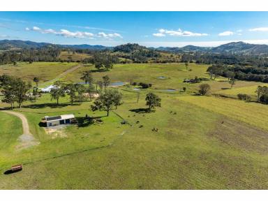 Lifestyle For Sale - NSW - Bunyah - 2429 - BUNYAH BEAUTY WITH DWELLING ENTITLEMENT  (Image 2)