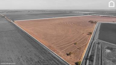 Other (Rural) For Sale - NSW - Whitton - 2705 - GREAT LIVESTOCK or FIRST IRRIGATION HOLDING  (Image 2)