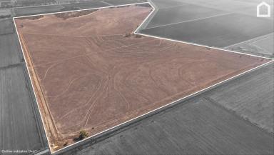 Other (Rural) For Sale - NSW - Whitton - 2705 - GREAT LIVESTOCK or FIRST IRRIGATION HOLDING  (Image 2)