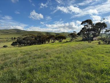 Residential Block For Sale - SA - Cambrai - 5353 - Affordable Rural Escape: 104 Acres with expansive views. Fully fenced and with solar powered bore and recently completed large shed.  (Image 2)