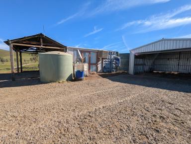 Residential Block For Sale - SA - Cambrai - 5353 - Affordable Rural Escape: 104 Acres with expansive views. Fully fenced and with solar powered bore and recently completed large shed.  (Image 2)