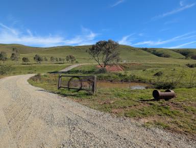 Residential Block For Sale - SA - Cambrai - 5353 - Affordable Rural Escape: 104 Acres with expansive views. Fully fenced and with solar powered bore and recently completed large shed.  (Image 2)