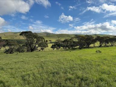 Residential Block For Sale - SA - Cambrai - 5353 - Affordable Rural Escape: 104 Acres with expansive views. Fully fenced and with solar powered bore and recently completed large shed.  (Image 2)