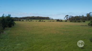 Lifestyle For Sale - VIC - Outtrim - 3951 - 5 Acres of Prime Lifestyle Land – Ready to Build Your Dream Home  (Image 2)