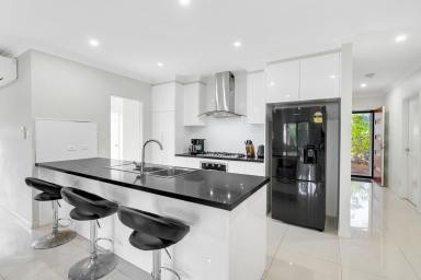 House For Lease - QLD - Mount Peter - 4869 - Modern 4-Bedroom Home with Quality Finishes in Prime Location  (Image 2)