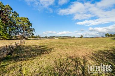 Residential Block For Sale - TAS - Westbury - 7303 - Five Lifestyle Blocks - ONLY 1 LEFT 
"Room to Roam, Space to Grow"  (Image 2)