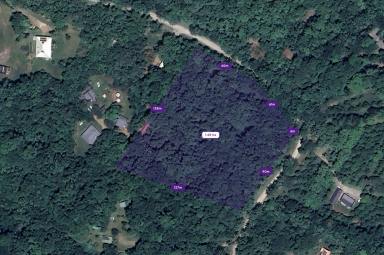 Residential Block For Sale - QLD - Cape Tribulation - 4873 - Rare Elevated 1.48ha Rainforest Acreage Privacy, Access & Location  (Image 2)