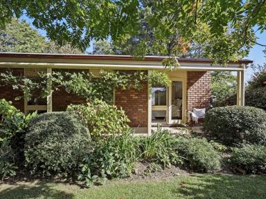House Sold - NSW - Bundanoon - 2578 - Quaintly Situated in a Desired Street  (Image 2)