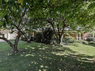 House Sold - NSW - Bundanoon - 2578 - Quaintly Situated in a Desired Street  (Image 2)
