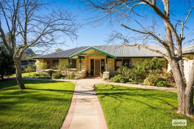 Acreage/Semi-rural For Sale - NSW - Buckajo - 2550 - Swim, Relax & Unwind – Stunning Riverfront Lifestyle Minutes from Bega  (Image 2)